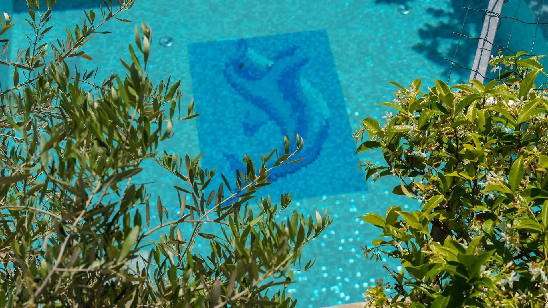 Tatil Evi Kuca Orhidea Villa Crikvenica Hırvatistan
